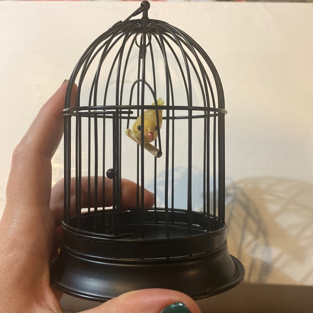 American Girl (Pleasant Company) Addy song bird
